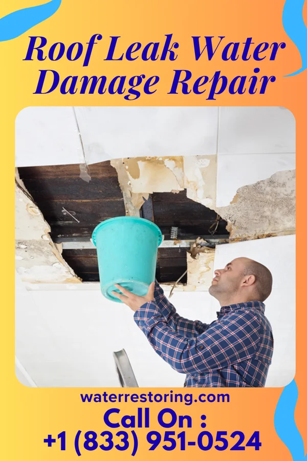Roof Leak Water Damage Repair in Bayview, NC