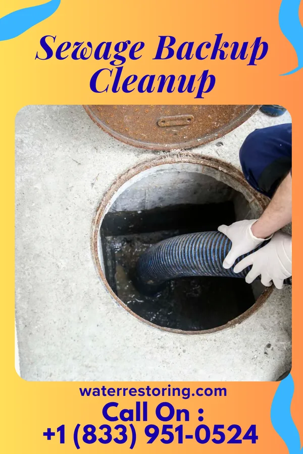 Sewage Backup Cleanup in Bayview, NC