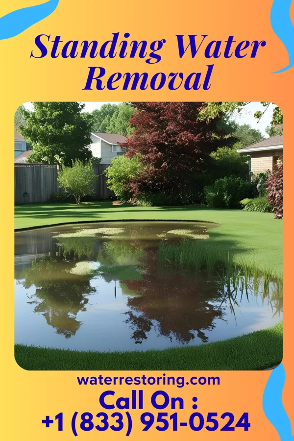 Standing Water Removal in Bayview, NC